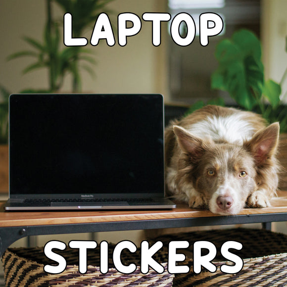 LAPTOP STICKERS