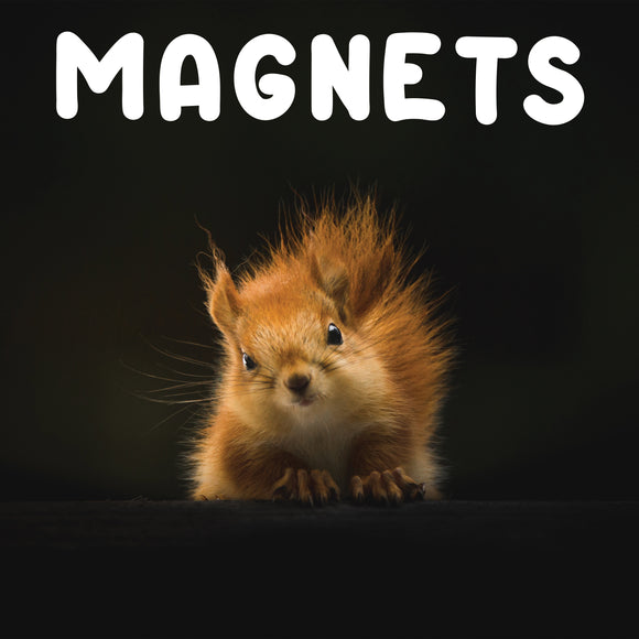 MAGNETS