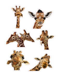 Silly Giraffes 6pc Sticker Sheet