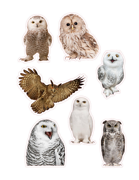 Owls 7pc Sticker Sheet