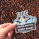 A I Need Coffee Right Meow magnet in front of a pile of coffee beans.