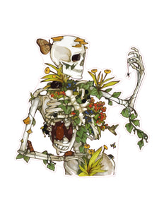 Skeleton in Nature