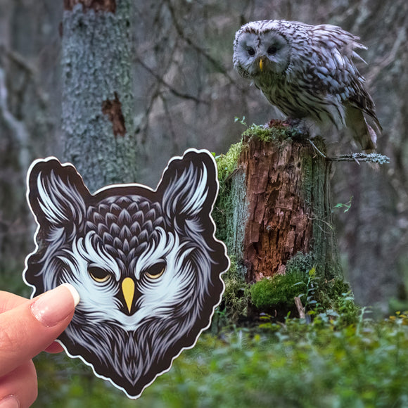 An Owl sticker being appreciated by an owl standing on a stump