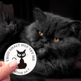 A pic of a gorgeous fluffy black cat and a hand holding a Thou Shalt Not Try Me sticker in front of it. 