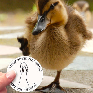 A cute little duckling stomping on a Mess With The Honk sticker. 