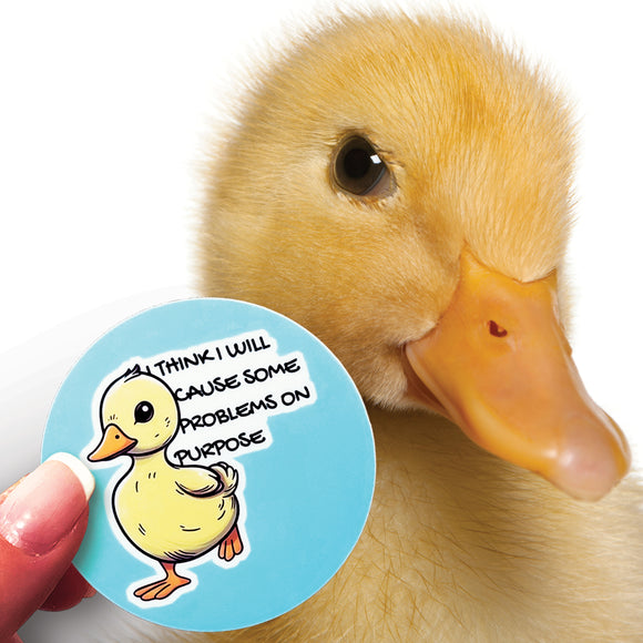 A Problem Child sticker in front of an adorable duckling. 